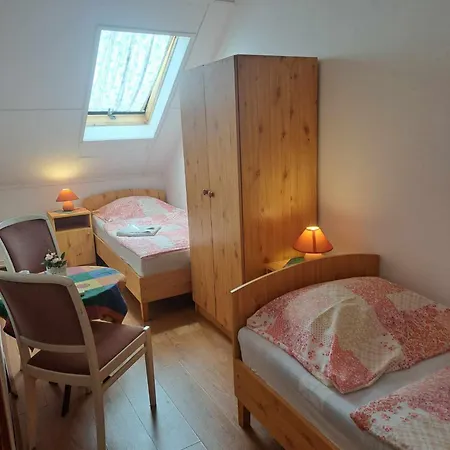 住宿加早餐酒店 Kalman Imre Panzio 希欧福克