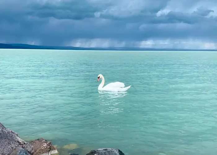 Kalman Imre Panzio 3* Siófok